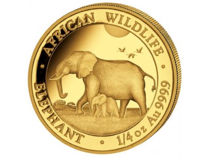 investiční zlatá mince somálský slon 2022-African Wildlife 1/4 Oz