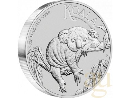 koala1kg 2