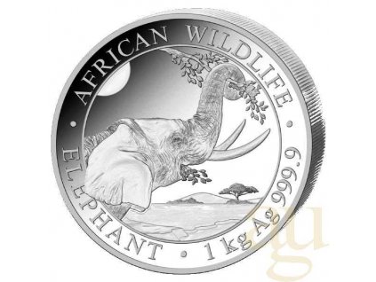 Investiční stříbrná mince somálský slon 2023 1kg