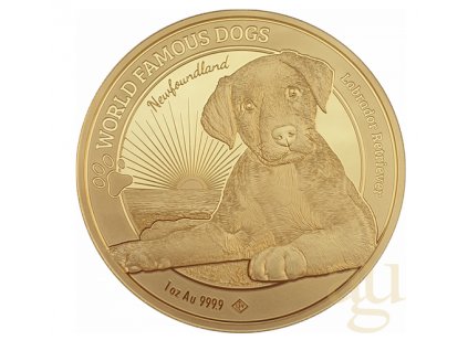 Investiční zlatá mince Světové psí rasy 1 Oz-Labrador