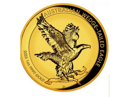 Zlatá mince Orel klínoocasý 2023-vysoký reliéf proof 1 Oz