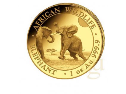 investiční zlatá mince 1 Oz somálský slon 2024