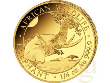 investiční zlatá mince somálský slon 2023-African Wildlife 1/4 Oz