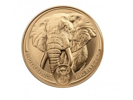 Investiční zlatá mince 50 rand 1Oz -Slon africký 2024-série Big Five