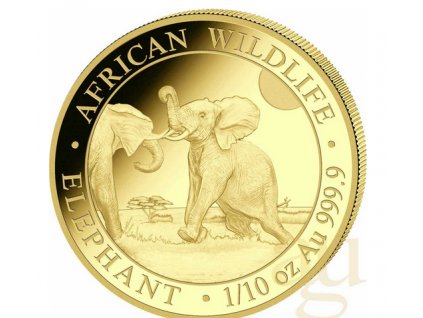 zlatá mince 1/10 Oz somálský slon 2024-African Wildlife