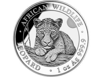 Stříbrná mince Leopard-2025-proof- 1 Oz