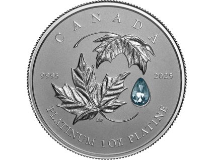 Platinová mince Javorový list napořád 2025- 1 Oz Proof