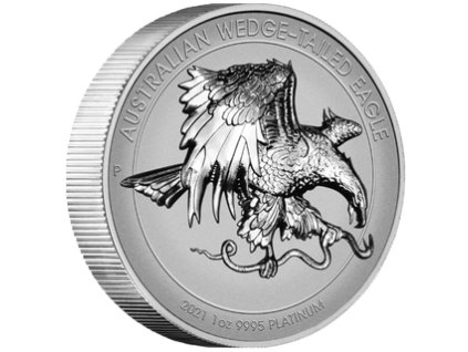 Platinová mince Klínoocasí orel-high relief-2021 reverse proof
