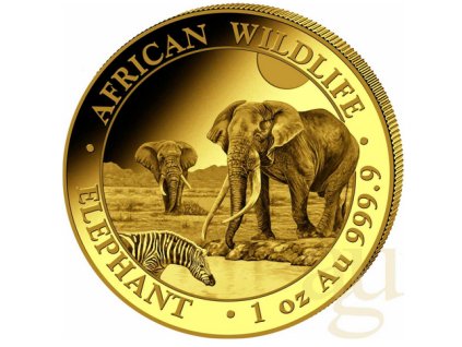 investiční zlatá mince 1 Oz somálský slon 2026-African Wildlife