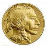 Investiční zlatá mince American Buffalo 1 Oz-2024