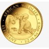 Investiční zlatá mince Somálský slon 2024- 1/2 Oz
