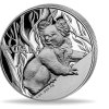 Stříbrná mince australský Koala 2024-1 oz proof