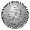 Platinová mince Javorový list napořád 2025- 1 Oz Proof