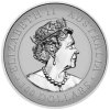 Platinová mince Klínoocasí orel-high relief-2021 reverse proof