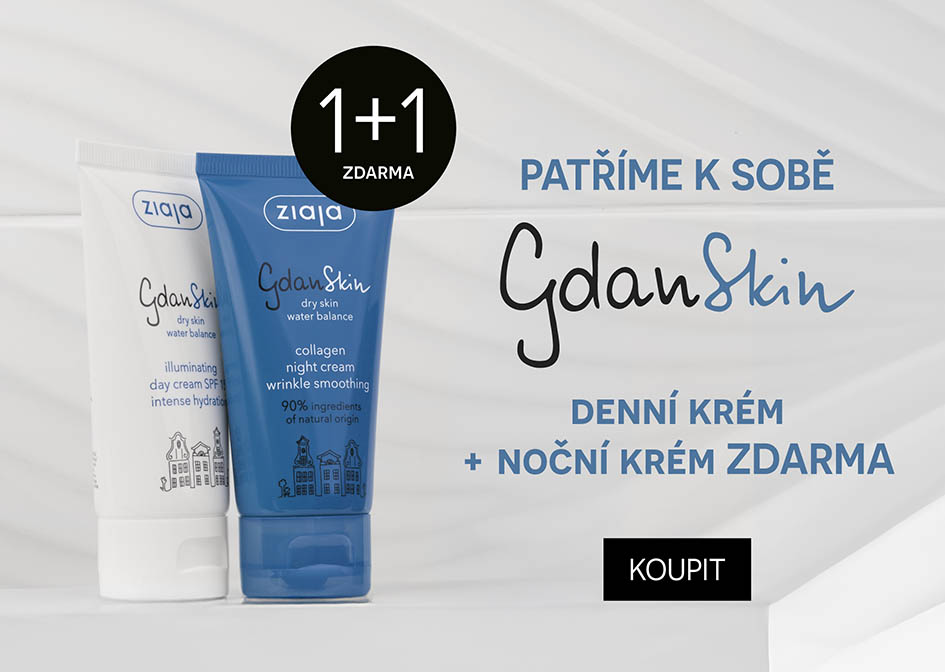 1+1 gdanskin