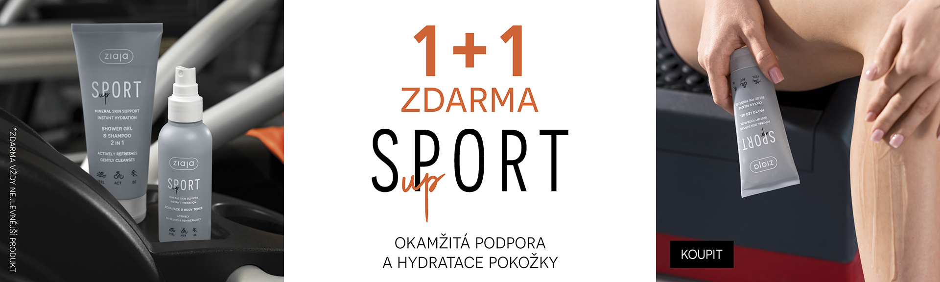 1+1 sport