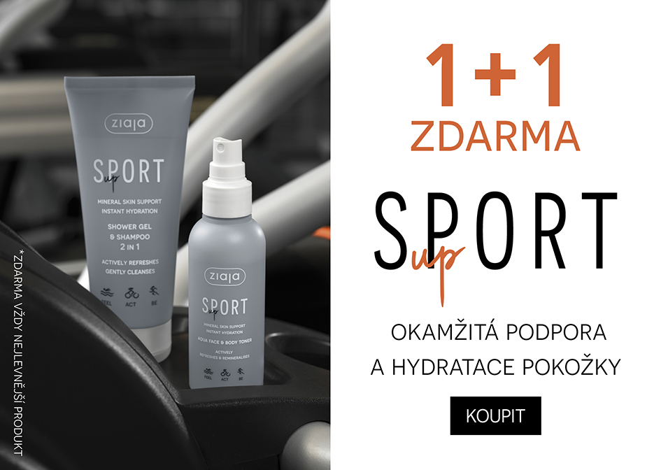1+1 sport