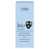 15602 GB DE ES CZ SK HU JEJU BLACK FACE MASK 52291