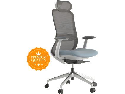 ergonomicka kancelarska zidle bessel sedy plast modra