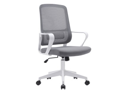 SALOMO TYP1 NEW siva hl