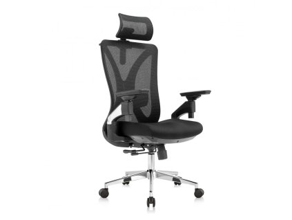 dd5f608f866cee19aab4d729bb407a17 steven 4d arm 1 scaled[1]