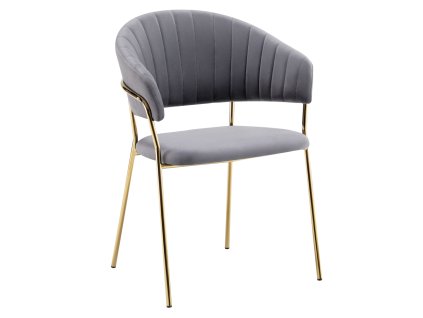 dasmin typ 1 sivohneda 01