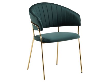 dasmin typ 1 zelena 01