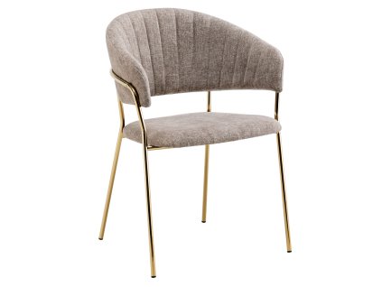 dasmin typ 1 hneda 01 dod