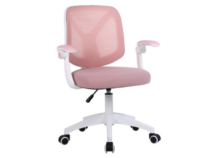 solari stolicka ruzova 01