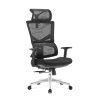 Ergonomická kancelářská židle ERGODO FOCUS - černá síťovina / nosnost 150 kg