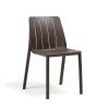 zidle Tiberina terra