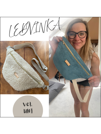 LEDVINKA