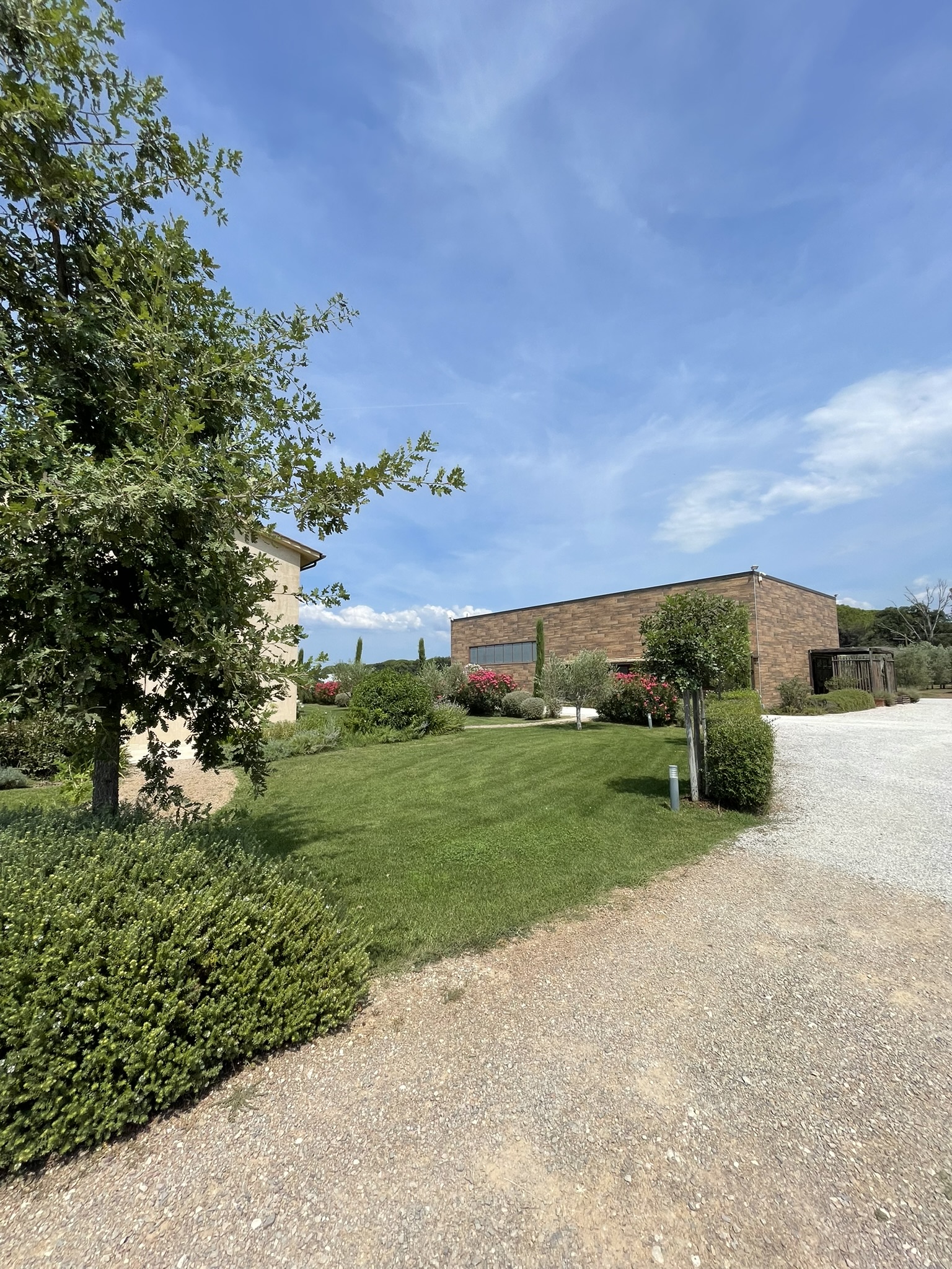 Villanoviana 2