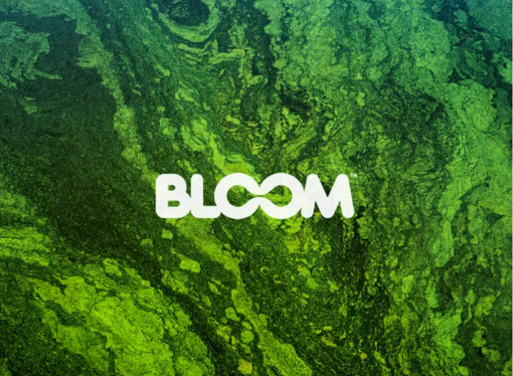 BIO MATERIÁL BLOOM