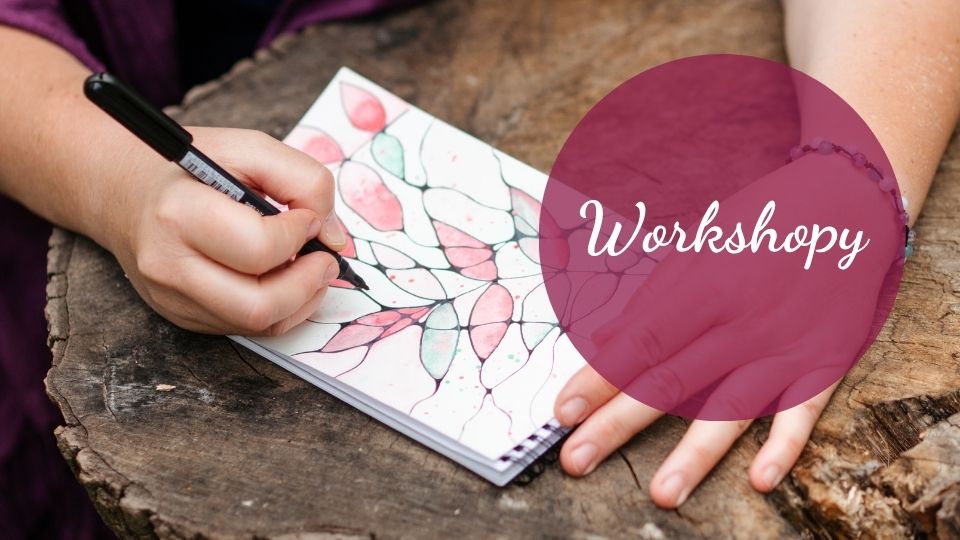 Workshopy a setkání