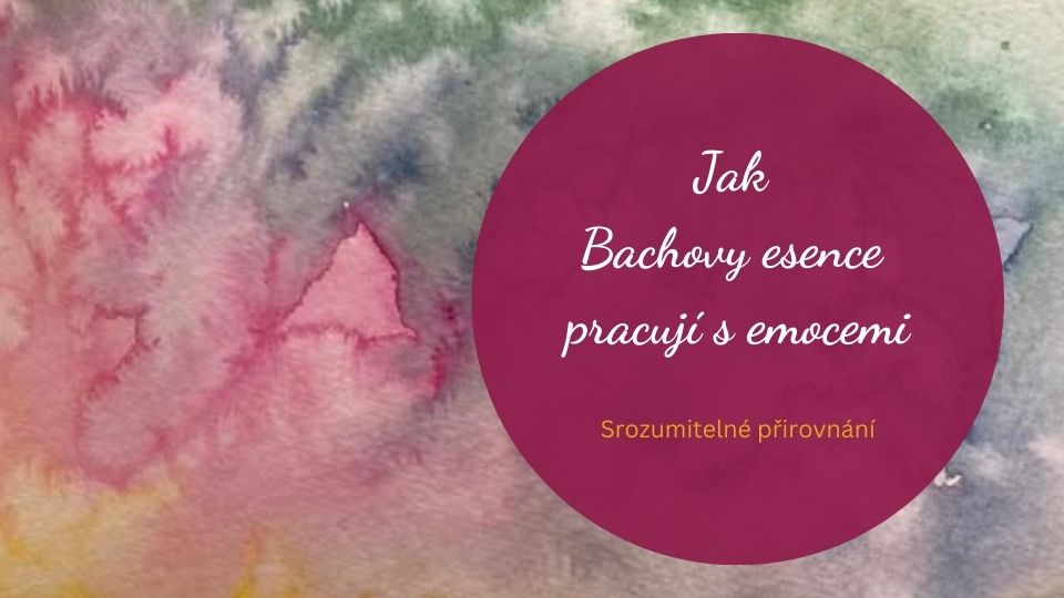 Váš vnitřní svět jako mozaika: jak Bachovy esence pracují s emocemi
