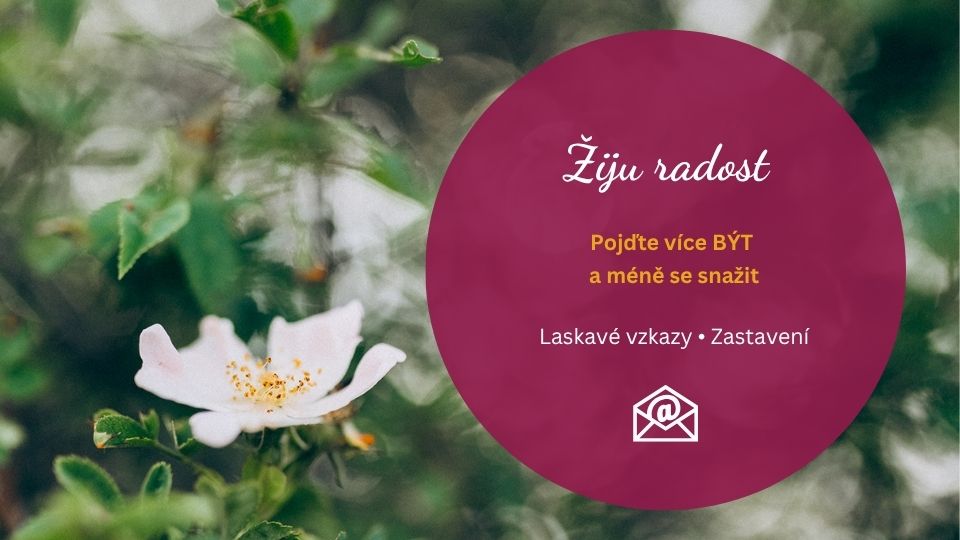 Žiju radost - laskavé vzkazy a krátká zastavení pro vnitřní klid