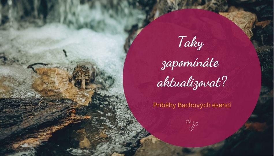 Jste na sebe přísní? Bachova esence Rock Water pomáhá uvolnit vnitřní pravidla