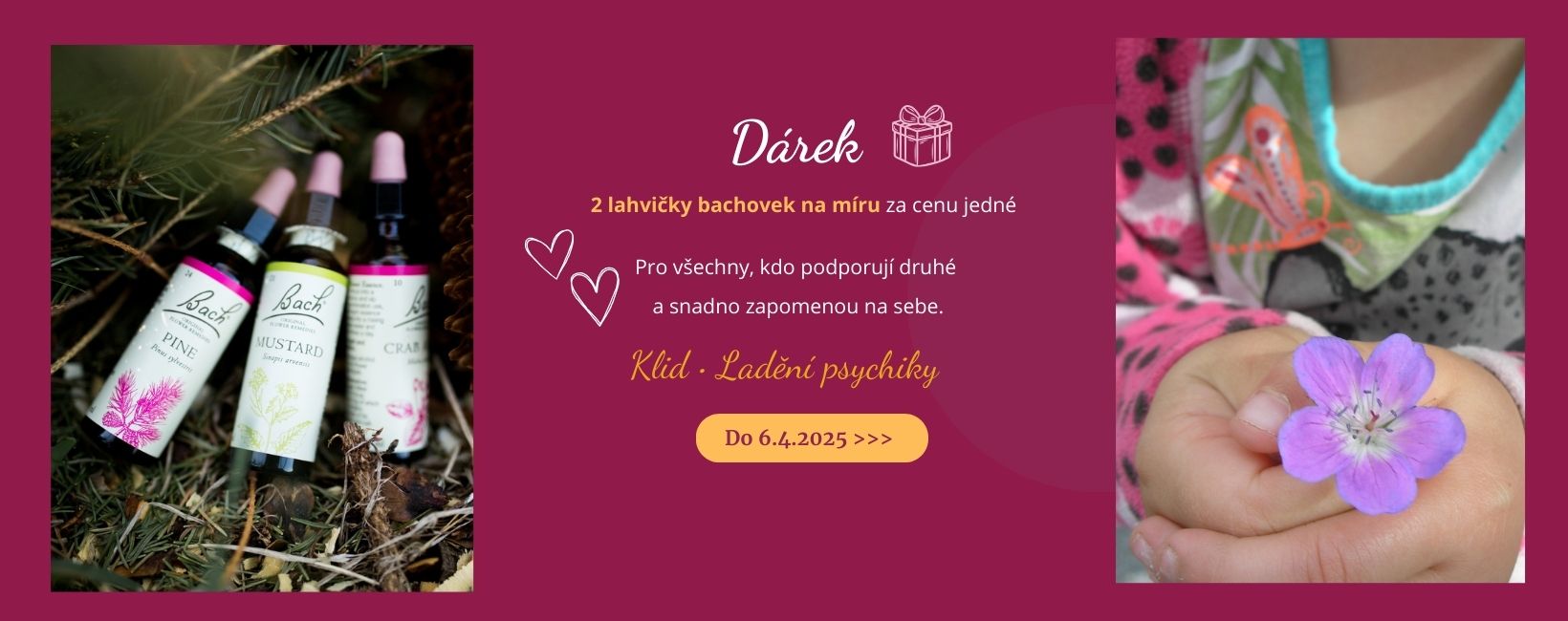 Bachovky akce