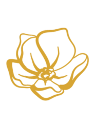 Logo - kytka