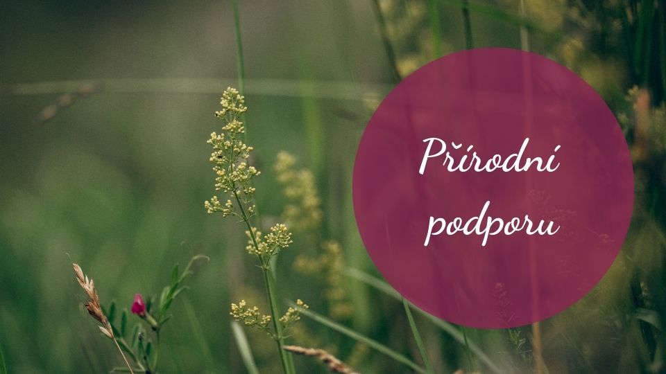 prirodni_podpora