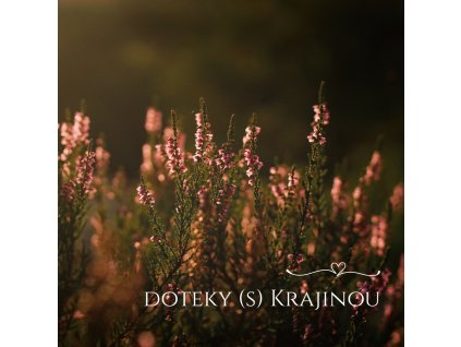 karty 01
