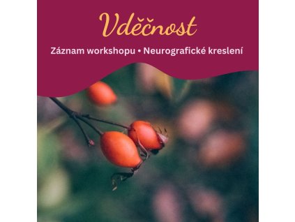 Vděčnost - video workshop - neurografické kreslení