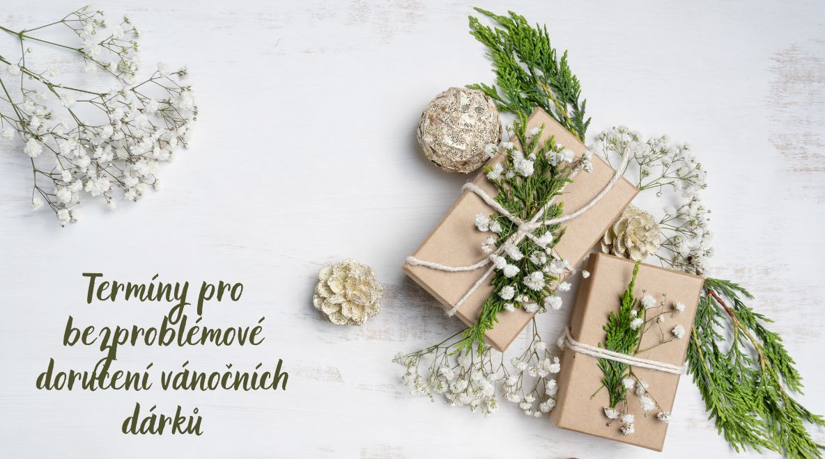 Doručování vánočních dárků v roce 2023