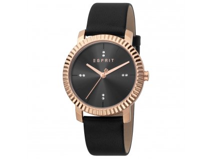 Esprit hodinky ES1L185L0035