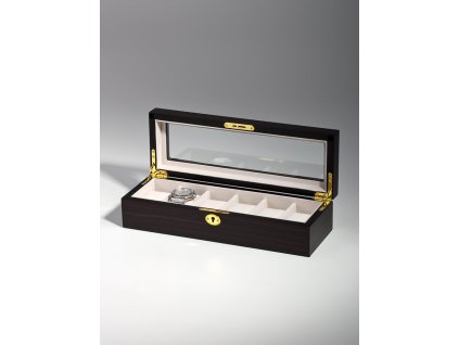 Rothenschild RS-1087-6E box na hodinky a šperky