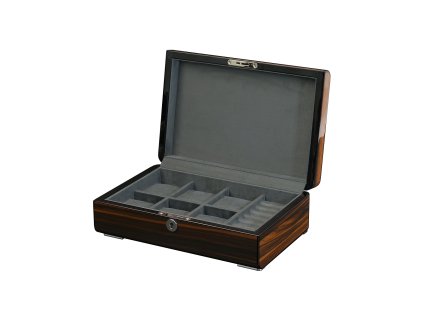 Rothenschild RS-2433-EB box na hodinky a šperky + CL