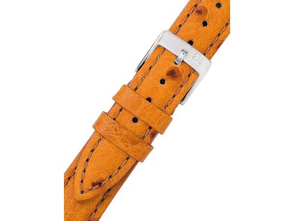 Morellato A01X1865498037CR20 Chagall Stampa Struzzo