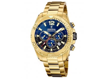 Festina F20684/2