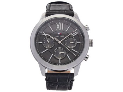 hodinky tommy hilfiger morrison model 1710527